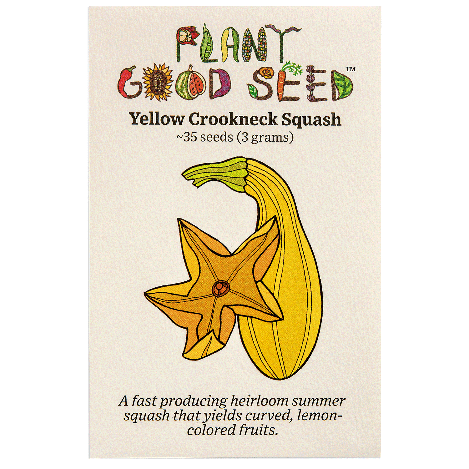 Yellow Crookneck Summer Squash