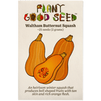 Waltham Butternut Winter Squash