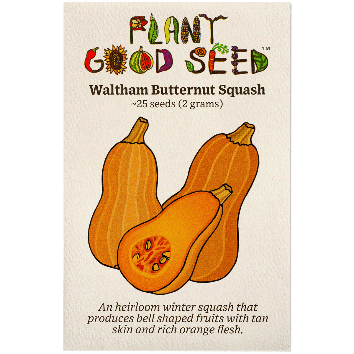 Waltham Butternut Winter Squash