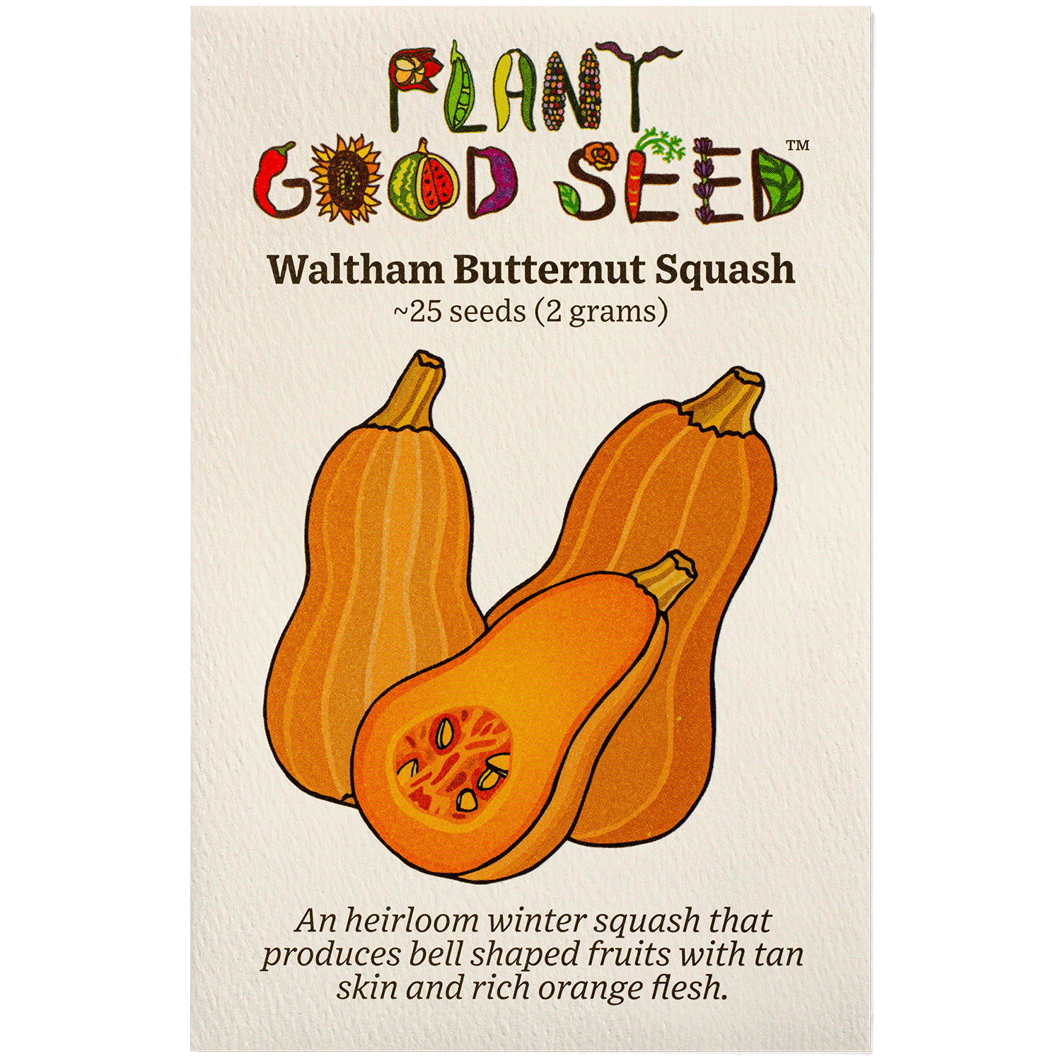 Waltham Butternut Winter Squash