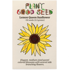 Lemon Queen Sunflower