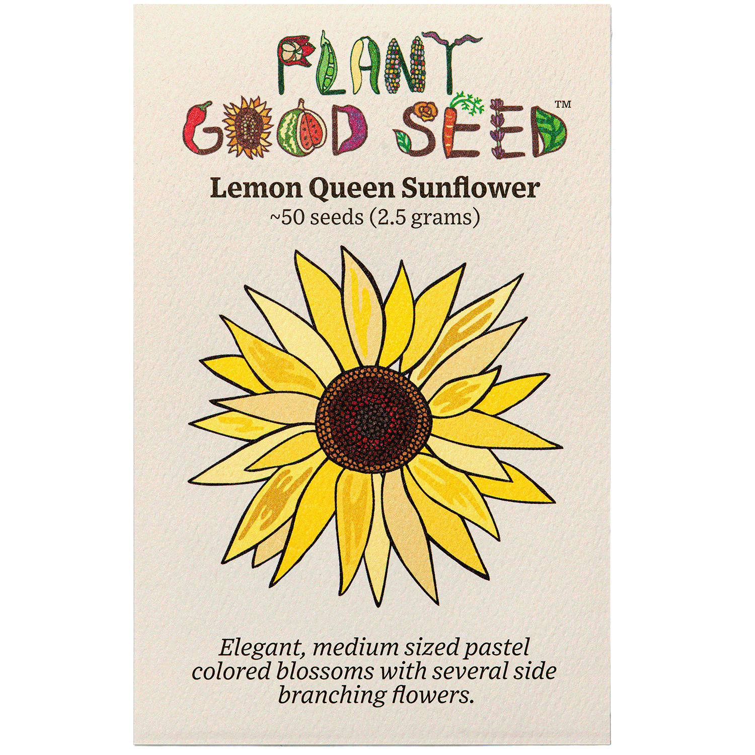 Lemon Queen Sunflower