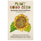 Mongolian Giant Sunflower