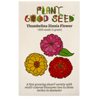 Thumbelina Zinnia Flower