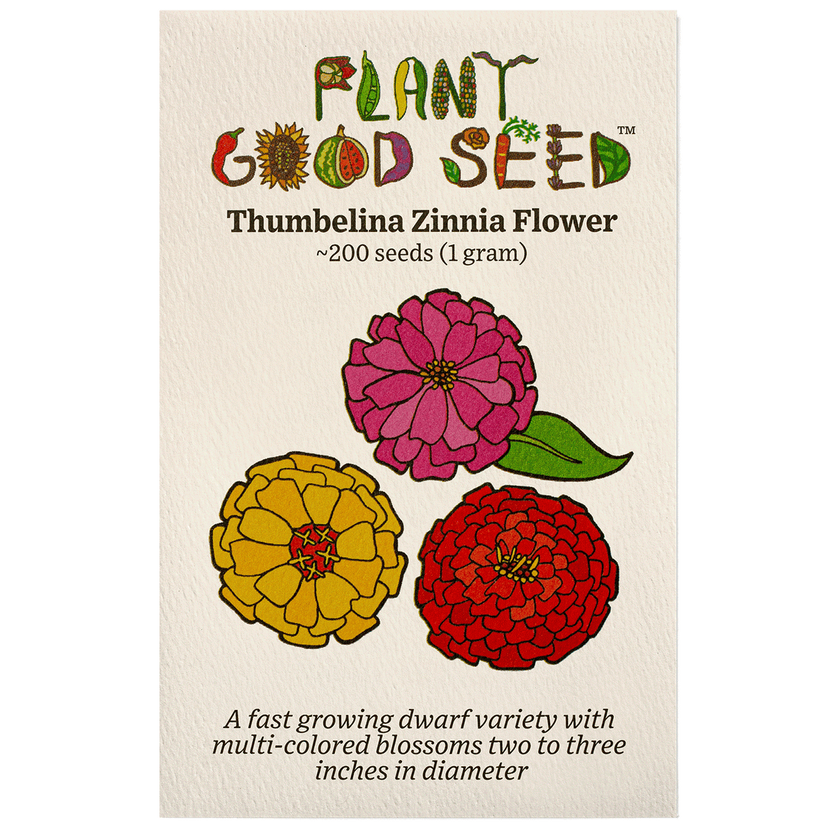 Thumbelina Zinnia Flower