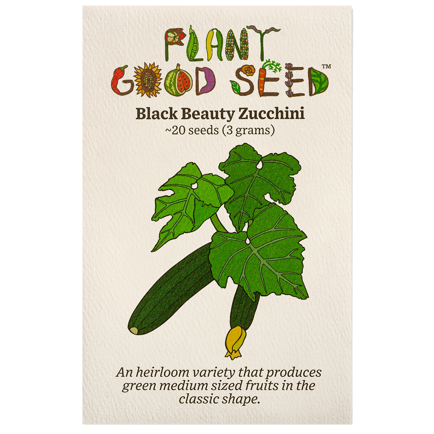Black Beauty Zucchini