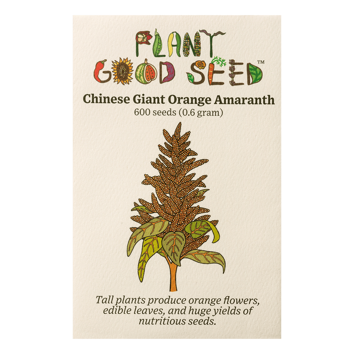 Chinese Giant Orange Amaranth