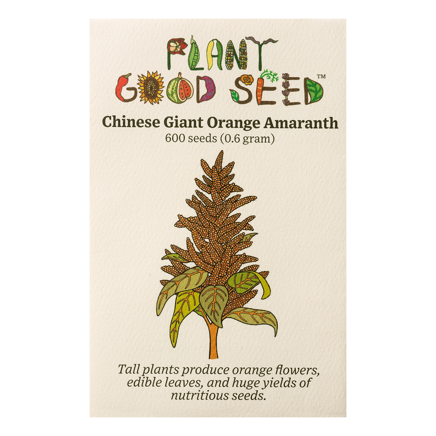 Chinese Giant Orange Amaranth