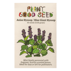 Anise Hyssop