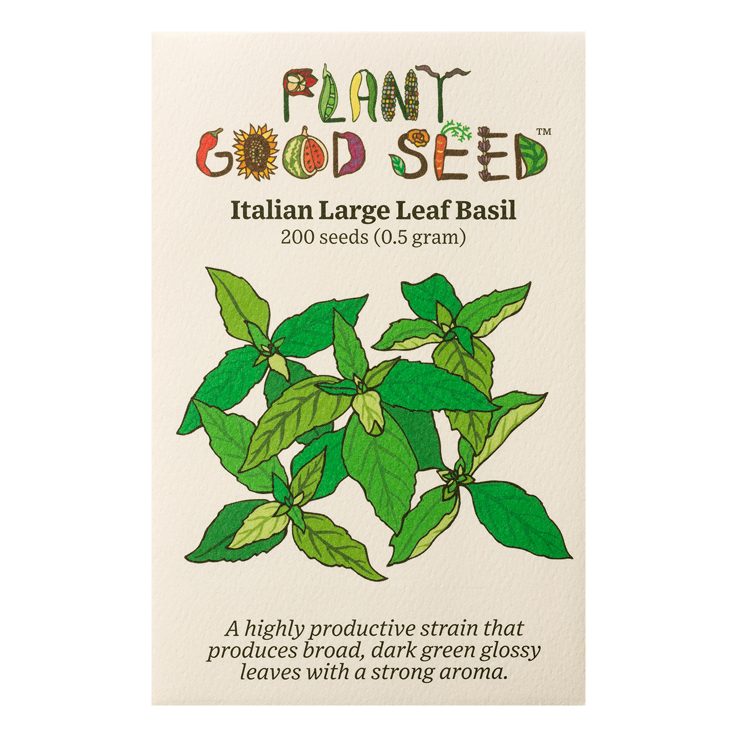 Italian Large Leaf Basil