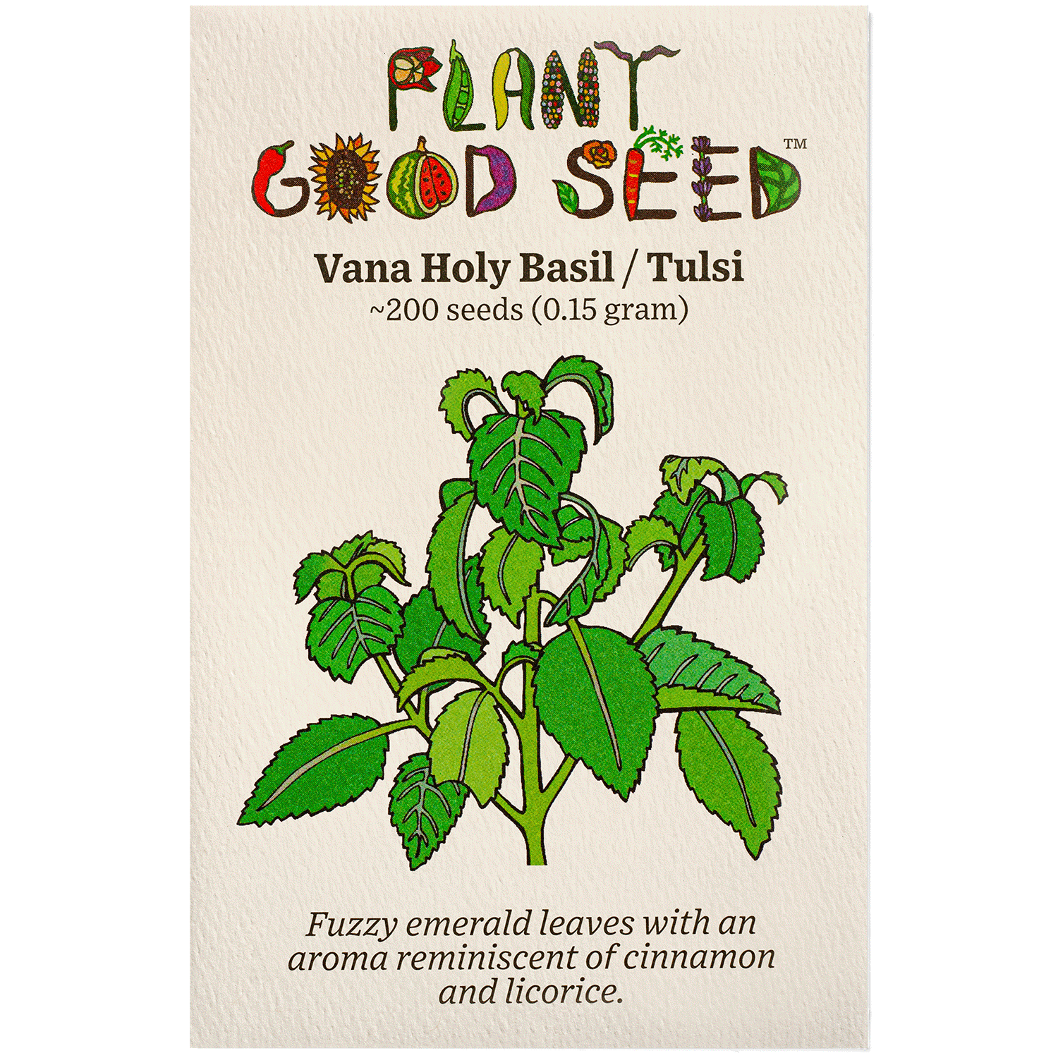 Vana Holy Basil / Tulsi