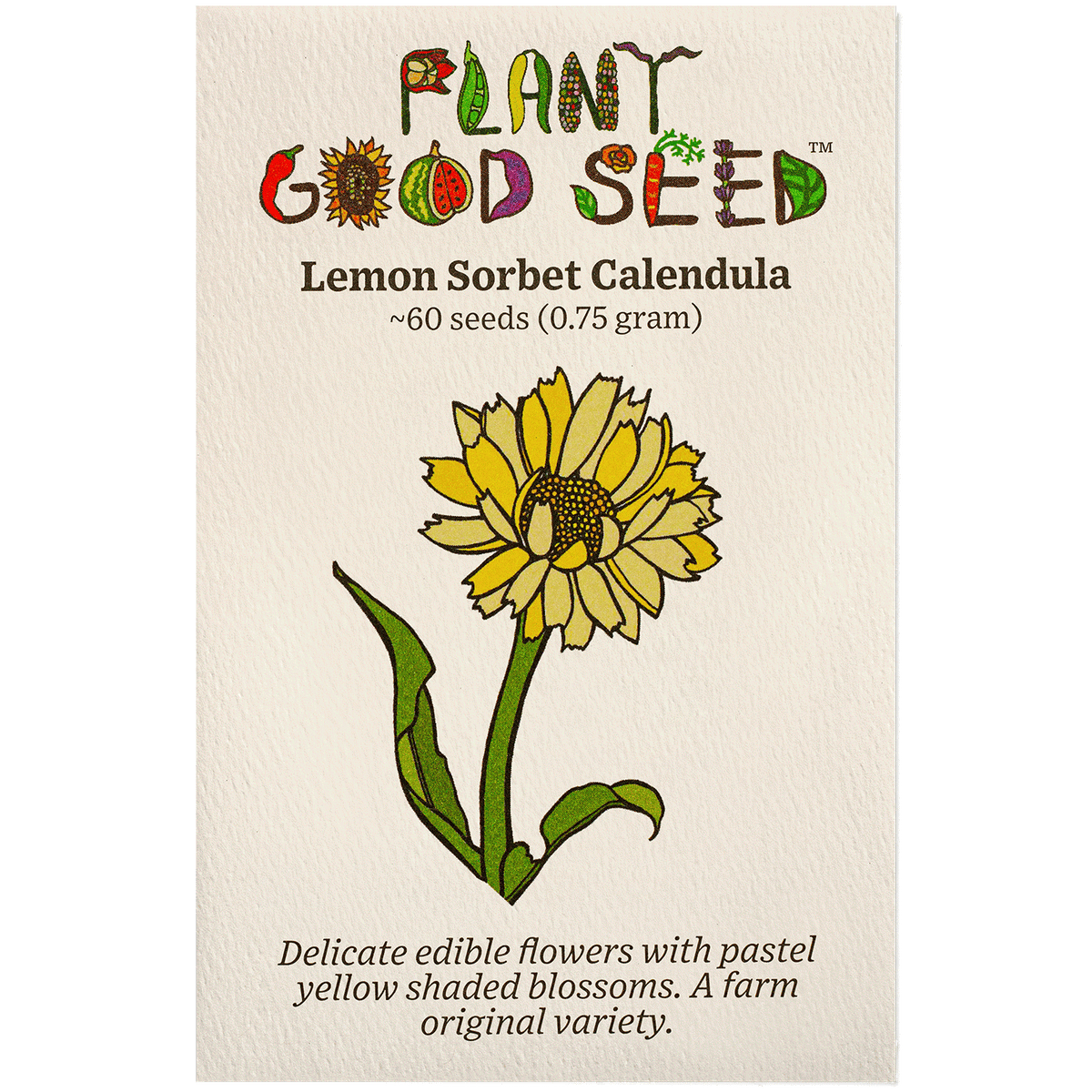 Lemon Sorbet Calendula