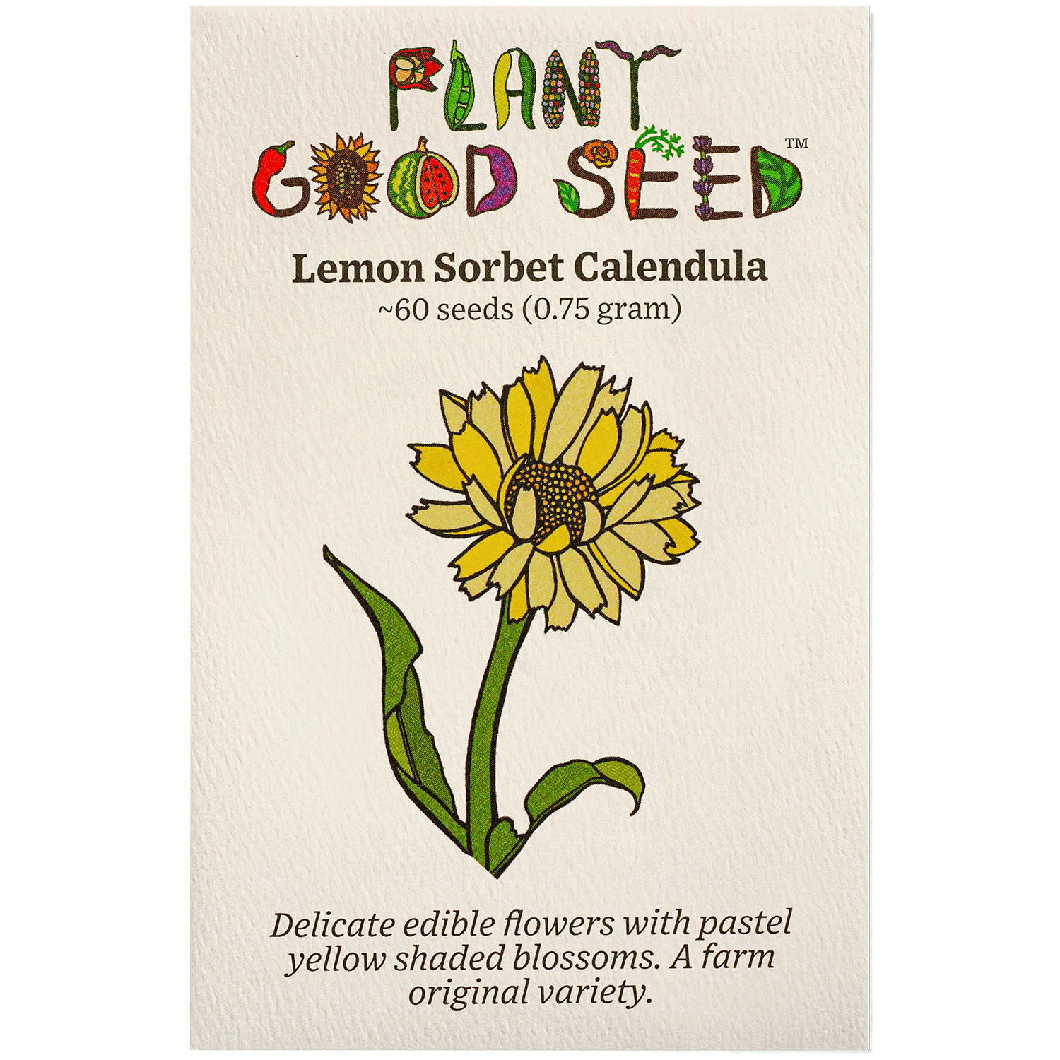 Lemon Sorbet Calendula