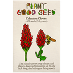Crimson Clover