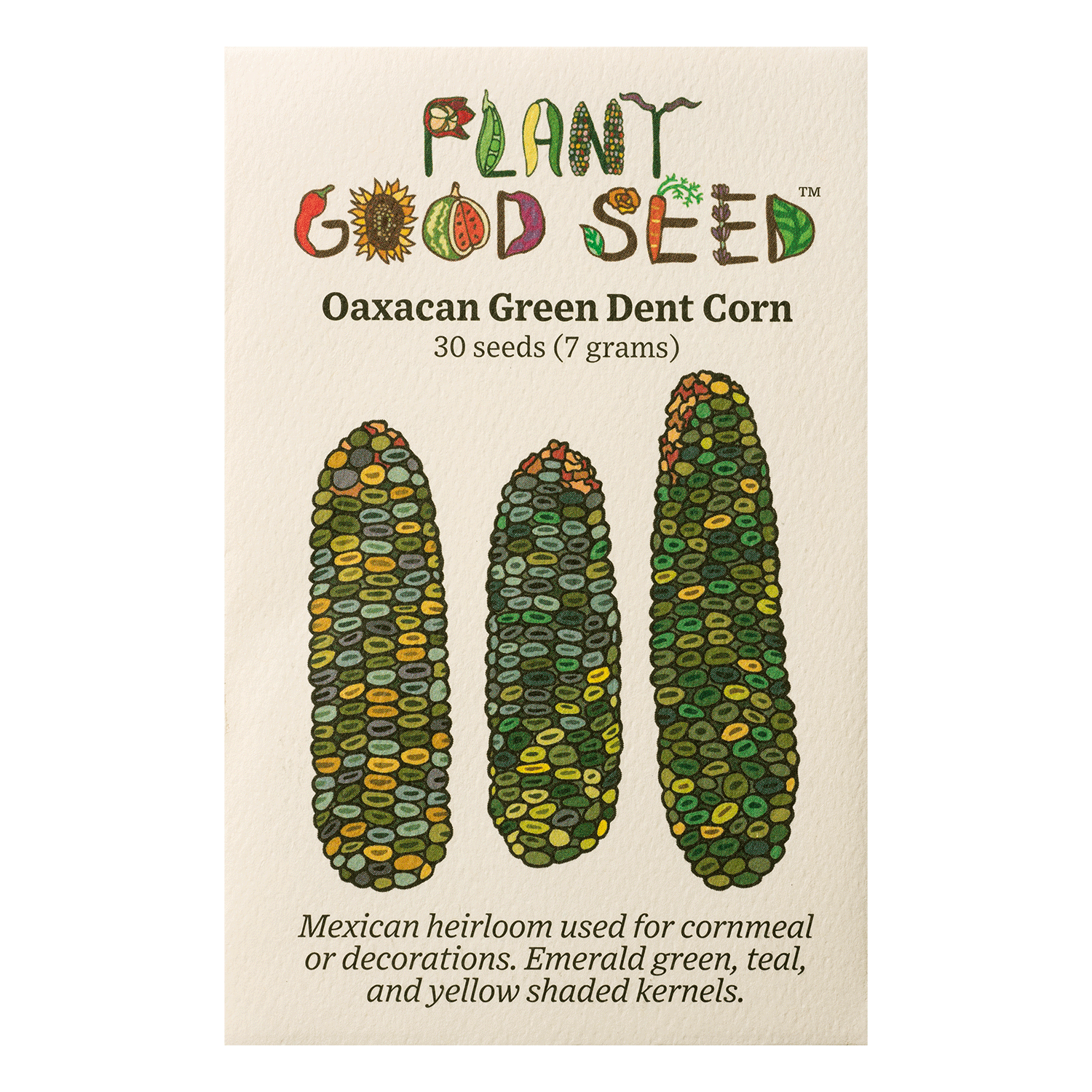 Oaxacan Green Dent Corn