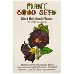 Black Hollyhock
