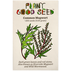 Common Mugwort