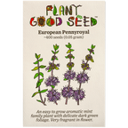 European Pennyroyal