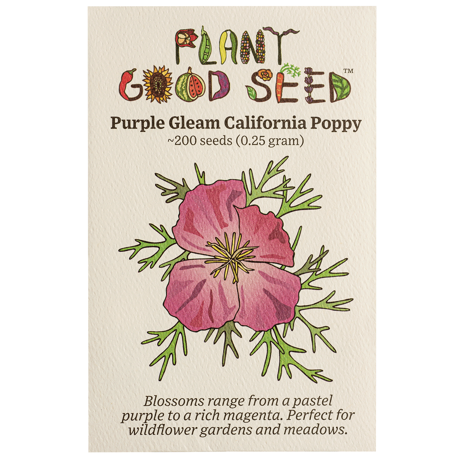 Purple Gleam California Poppy