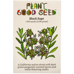 Black Sage