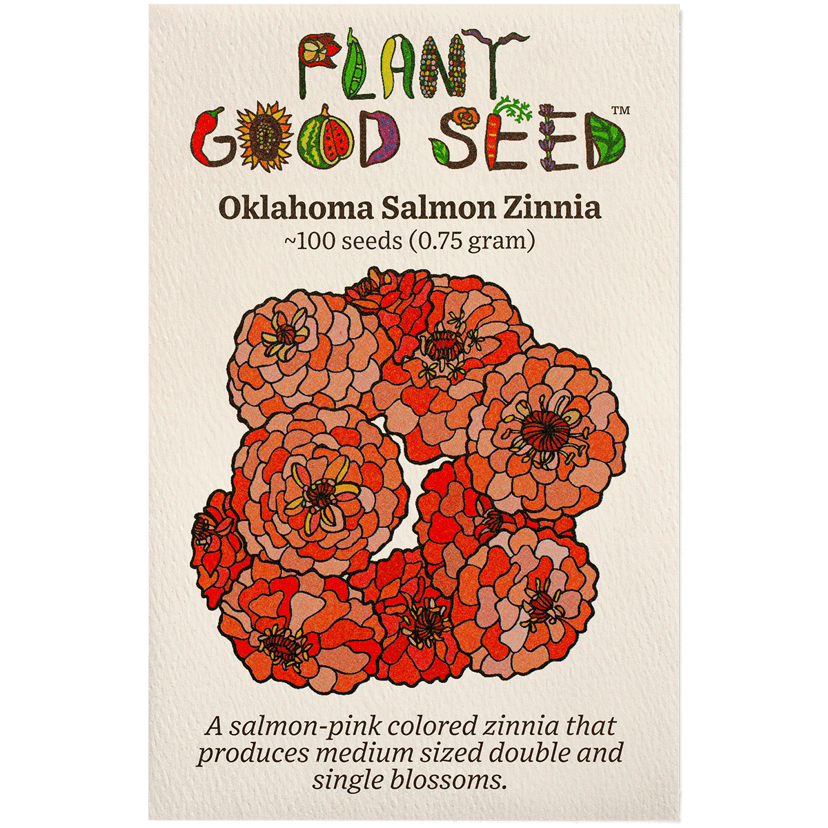 Oklahoma Salmon Zinnia Flower